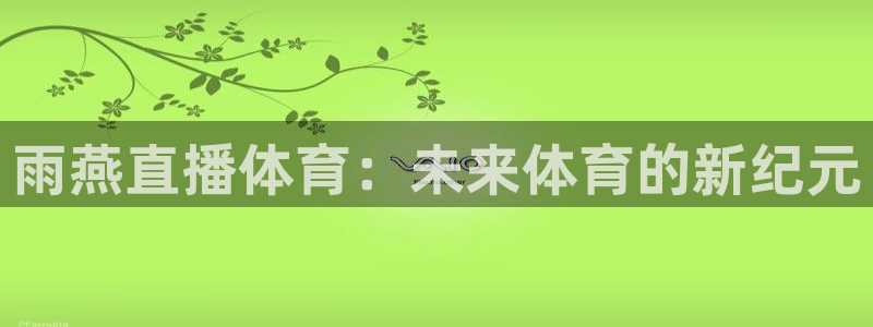 玩球体育：雨燕直播体育：未来体育的新纪元