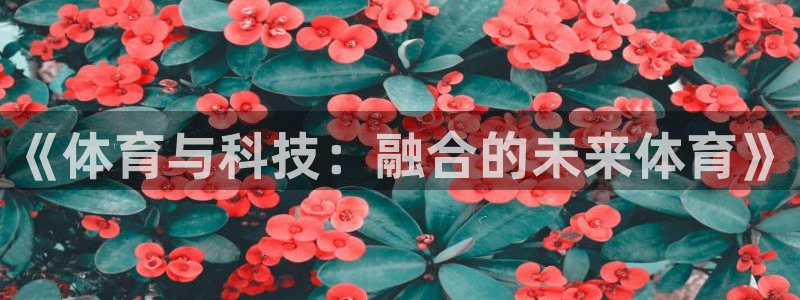 玩球直播：《体育与科技：融合的未来体育》