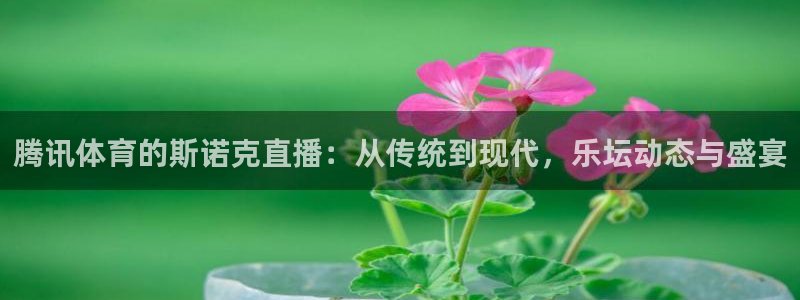玩球直播nba直播在线直播：腾讯体育的斯诺克直播：从传统到现代，乐坛动态与盛宴